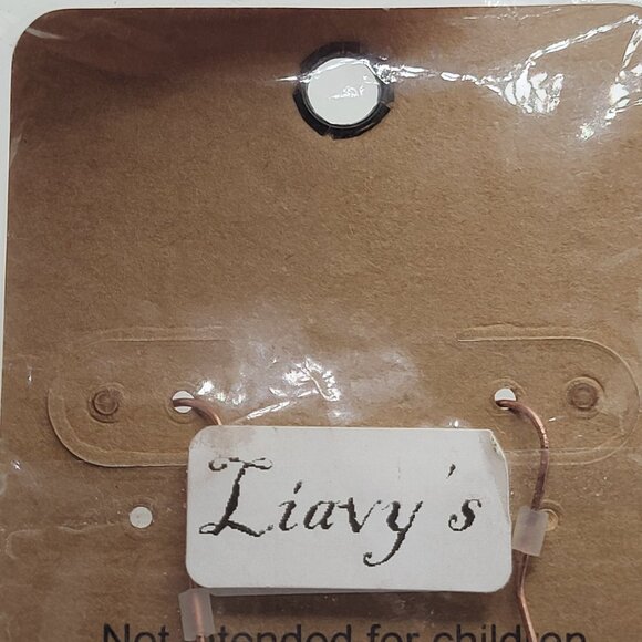 Southwestern Cactus on Blue Patina Brushed Oval Earring New in Package Lucky You - Picture 9 of 9